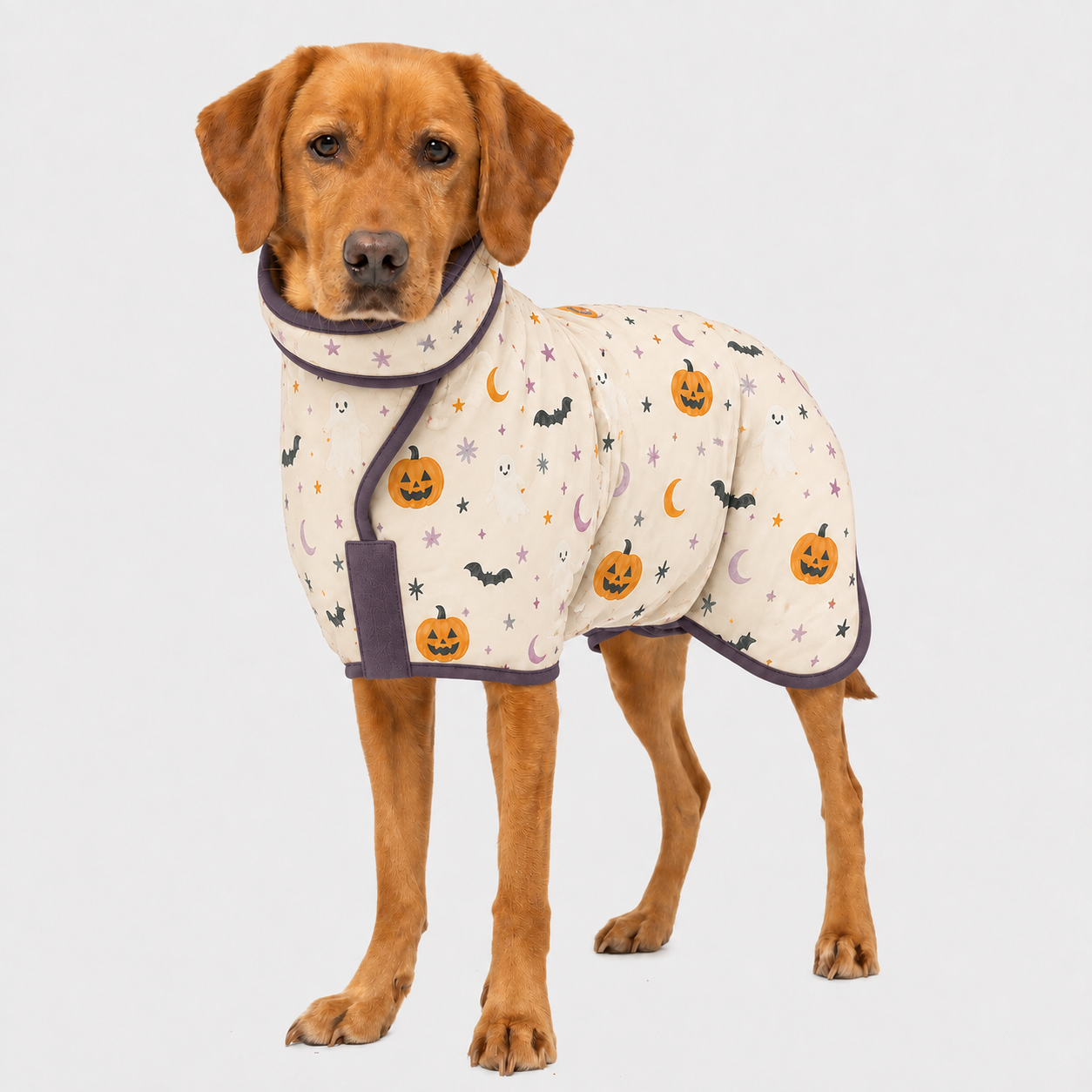 Cozy Pumpkin Halloween quick-dry dog robe